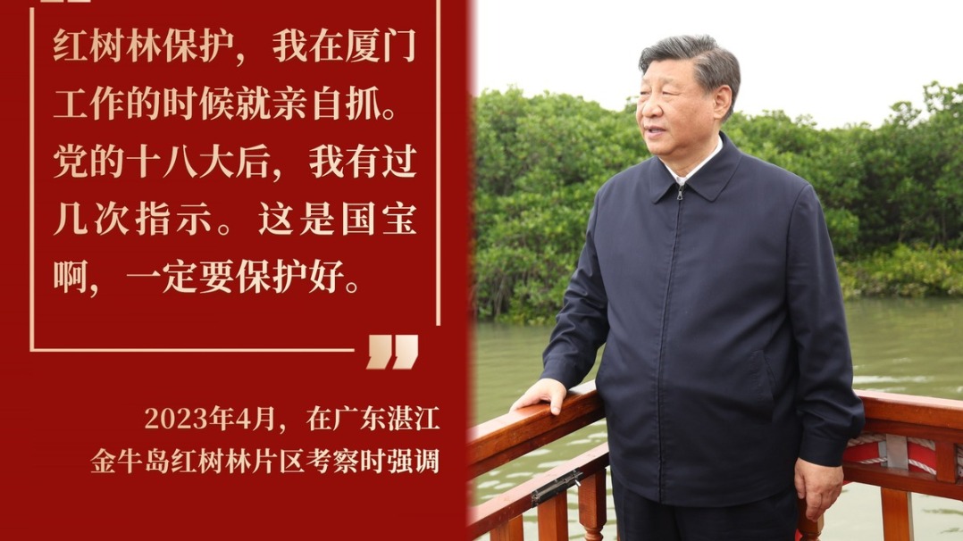 韓劇TV極簡版下載