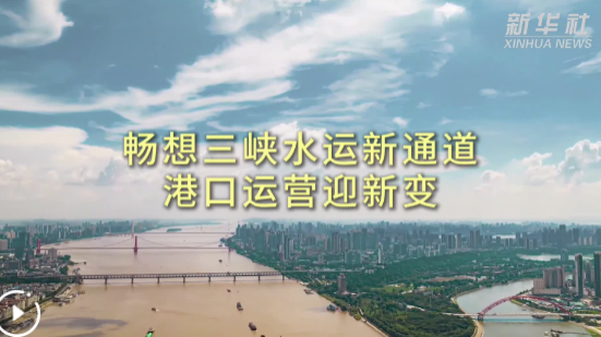 駕友聊下載