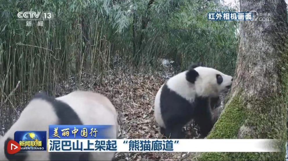 廣東各地高溫預(yù)警基本解除，涼爽天氣能持續(xù)多久？