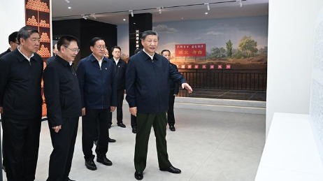 CAD迷你看圖下載